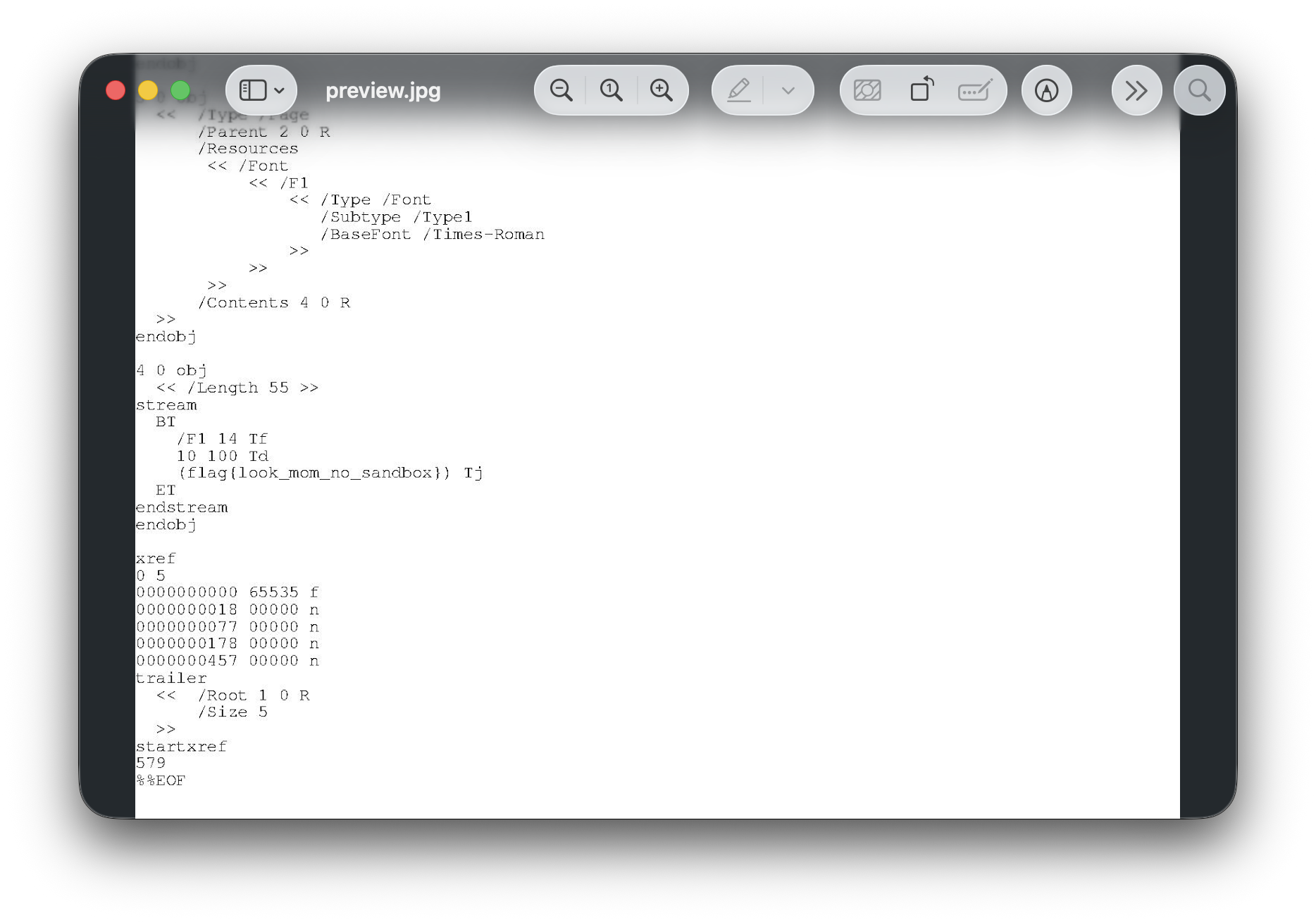 JPEG Showing the Plaintext Contents of the PDF containing the Flag